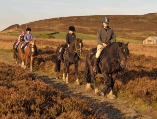 Hebden Bridge Equestrian Centre